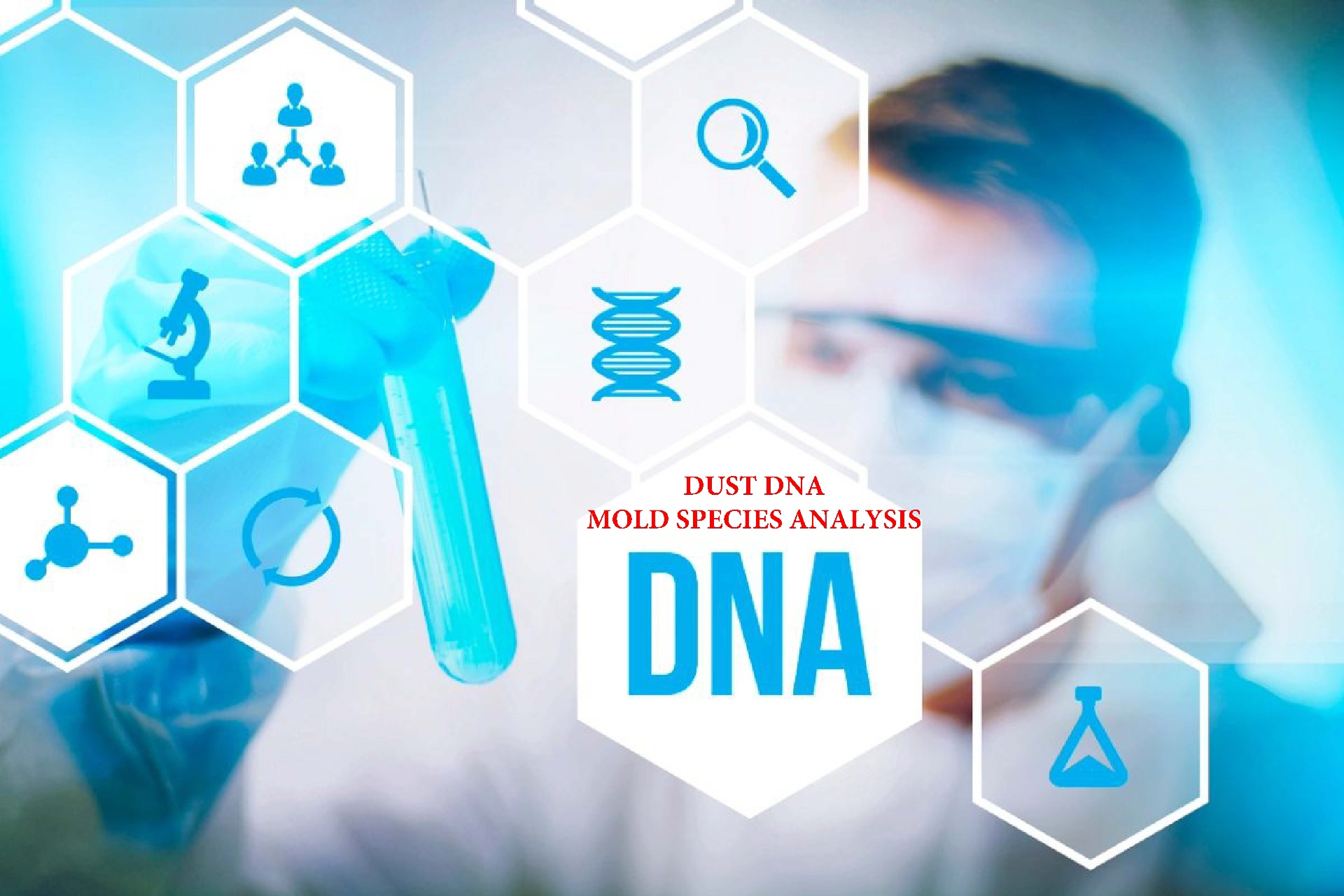 Dust DNA mold species analysis performed in a laboratory